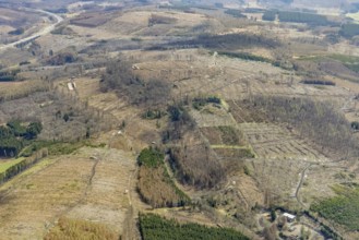 Aerial view, forest damage in the forest area Baudenberg, Zeppenfeld, Neunkirchen, Siegerland,