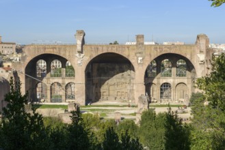 Ruins of the side aisle of the Basilica of St Maxentius, built between 306 and 312, Roman Forum,