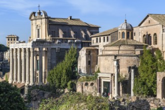 View to the left of 17 columns of Cipollin marble from the temple of Antoninus and Faustina from