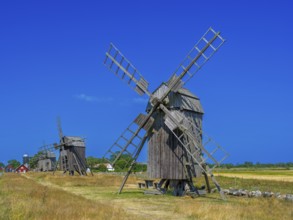The mills of Lerkaka, five historic windmills, trestle windmills, Lerkaka, Öland, Sweden
