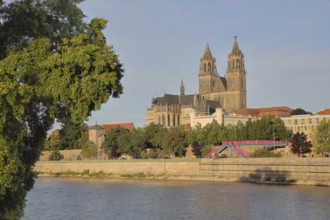 Cityscape with Gothic cathedral, city wall with defence defence tower Kiek in de Köken and building