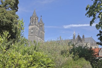 Gothic Cathedral of St Mauritius and St Katharina with twin towers, Magdeburg Cathedral, Magdeburg,