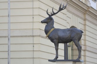 Stag column with stag statue, stag figure with golden collar, golden chain, Old Town Hall, Old
