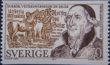 Peter Hernqvist (1726-1808), a Swedish professor and veterinarian – the father of Swedish