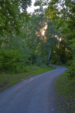 View along the cycle path along the Mittelland Canal Hanover Garbsen, Hanover, Lower Saxony,