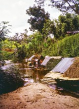 People living in homes on river house rafts, Sungai Perdak, Pahanh, Bentong district, Malaya,