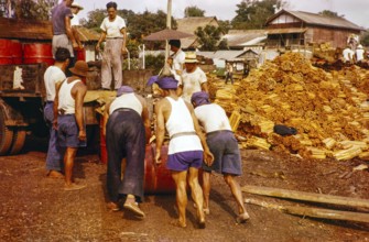 Male workers loading metal fuel drums onto back of lorry in timber yard, Johor Bahru, Johor,