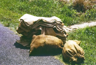 Unsmoked sheets and sacks of rubber piled up on roadside, Malaya, Malaysia, south east Asia 1963