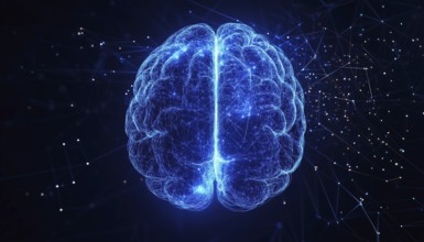 Understanding The Interaction Between The Left And Right Human Brain With Blue Light And Neural