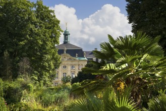 View from the exotical jungle of the botanical garden to the Prince Bishop's Castle,