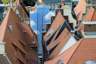 Aerial view, old town of Münster, North Rhine-Westphalia, Germany