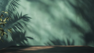 Empty Table On Dark Green Wall With Botanical Shadows: Ideal Mock-Up For Presentations And Branding
