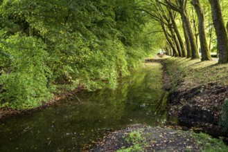 Tree-lined ditch, Senden Castle, Senden, North Rhine-Westphalia, Germany