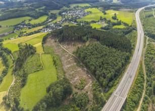 Aerial photograph, forest area with forest damage near Elben, A4 motorway, Wenden, Sauerland, North