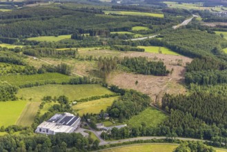 Aerial view, forest area with forest damage, Eloxal Gerlingen GmbH Metalloberflächenveredler,