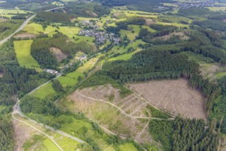 Aerial view, forest area with forest damage, Gerlingen, Wenden, Sauerland, North Rhine-Westphalia,
