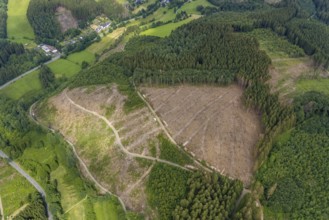 Aerial view, forest area with forest damage, Gerlingen, Wenden, Sauerland, North Rhine-Westphalia,