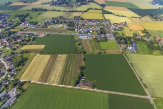 Aerial view, meadows and fields with view of Hilbeck, Werl, Soester Börde, North Rhine-Westphalia,