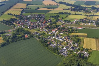 Aerial view, meadows and fields with view of Hilbeck, Werl, Soester Börde, North Rhine-Westphalia,