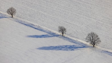 Aerial view, snow-covered fields, winter, single trees cast shadows in the snow, Uentrop, Hamm,
