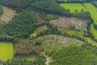 Aerial view, forest area with forest damage near Altenhof, Wenden, Sauerland, North