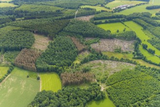 Aerial view, forest area with forest damage near Altenhof, Wenden, Sauerland, North