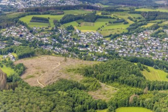 Aerial view, forest area with forest damage in Möllmicke, Wenden, Sauerland, North