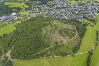 Aerial view, Löhkopf forest area with forest damage, Ottfingen, Wenden, Sauerland, North