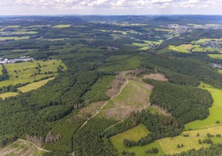 Aerial view, forest area with forest damage, Hünsborn, Wenden, Sauerland, North Rhine-Westphalia,