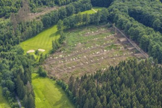 Aerial view, forest area with forest damage Dörnscheid, Ottfingen, Wenden, Sauerland, North