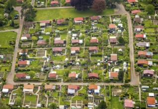 Aerial view, allotment garden association Birther Höfe, Asternweg, Hetterscheidt, city border