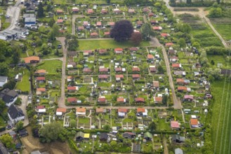 Aerial view, allotment garden association Birther Höfe, Asternweg, Hetterscheidt, city border