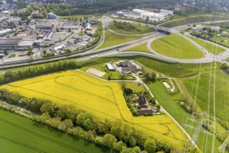 Aerial view, rape fields at the A44 motorway junction Hetterscheidt, Krehwinkler Höfe, Velbert,