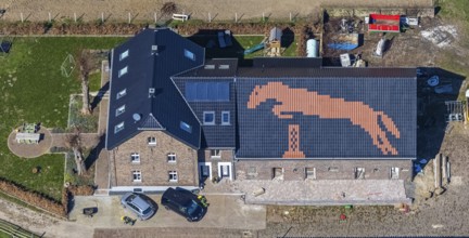 Aerial view, Pferdefreunde Emmelsum, jumping horse on the barn roof, club grounds Heinrichstraße,