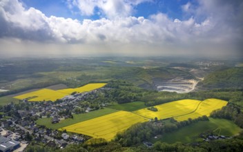 Aerial view, rape fields Rützkausen, limestone quarry Rohdenhaus, Velbert, Ruhr area, North