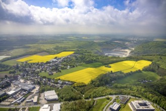 Aerial view, rape fields Rützkausen, limestone quarry Rohdenhaus, Velbert, Ruhr area, North