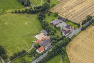 Aerial photo, agricultural business Werler Straße 185 am Ameckebach, Hemmerde, Unna, Ruhr area,