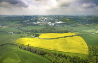 Aerial view, rape fields Rottberger Straße, view of the Siemensstraße industrial estate, Velbert,