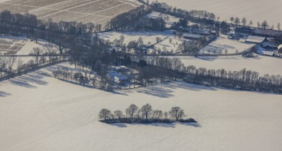 Aerial view, row of trees in the snow, Afferde, Unna, Ruhr area, North Rhine-Westphalia, Germany,