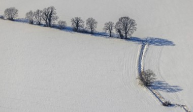 Aerial view, row of trees in the snow, Afferde, Unna, Ruhr area, North Rhine-Westphalia, Germany,