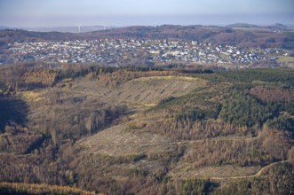 Aerial view, forest area with forest damage in the district of Hachen in Sundern, Sauerland, North