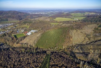 Aerial view, forest area with forest damage and sports and conference centre Hachen in the district