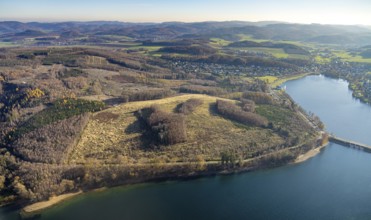 Aerial view, forest area with forest damage at the Sorpe lake in the district of Langscheid in