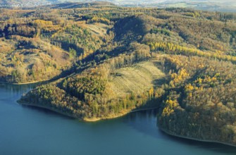 Aerial view, forest area with forest damage at the Sorpe lake in the district of Langscheid in