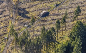 Aerial view, forest area with forest damage in the district of Amecke in Sundern, Sauerland, North