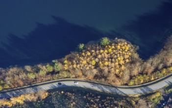 Aerial view, Shoreline forest area shapes and colours at the Sorpe lake in the district Amecke in