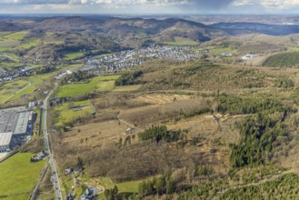Aerial photo, forest damage in the forest area near Hachen, Sundern, Sauerland, North