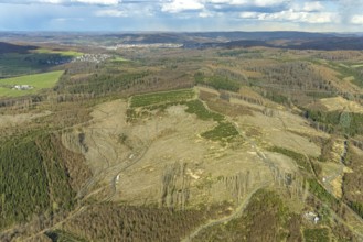Aerial photo, forest damage in the forest area near Hachen, Sundern, Sauerland, North