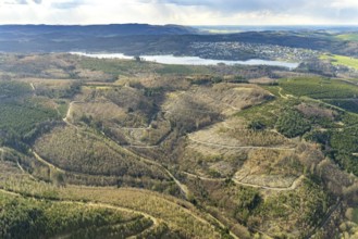 Aerial photo, forest damage in the forest area at Lake Sorpe, Höhenweg, Hachen, Sundern, Sauerland,