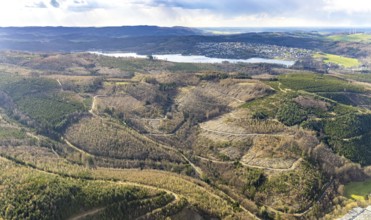 Aerial photo, forest damage in the forest area at Lake Sorpe, Höhenweg, Hachen, Sundern, Sauerland,